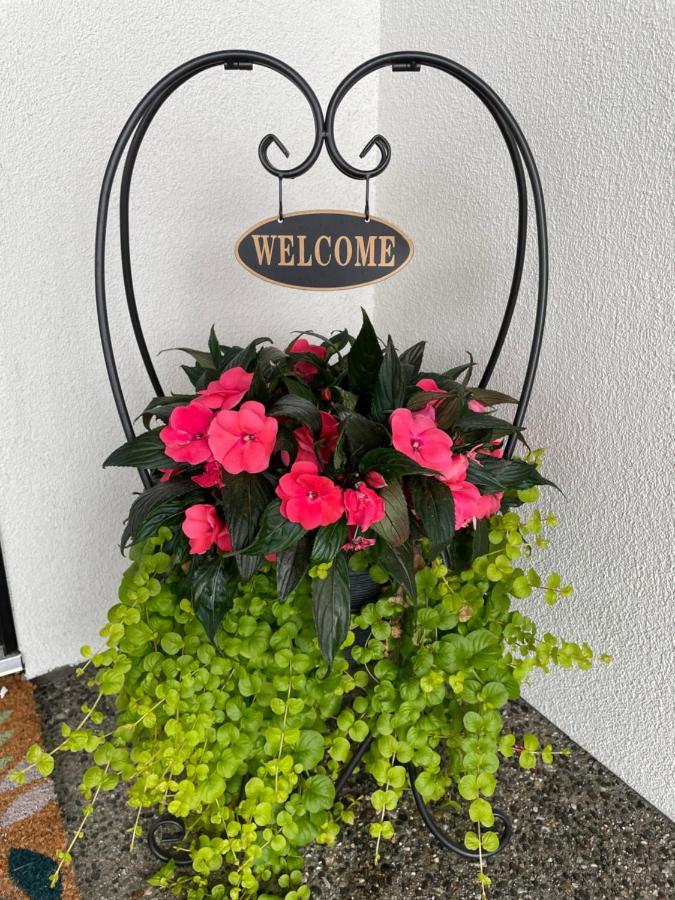 Shannon Heights B&B 西基隆拿 外观 照片
